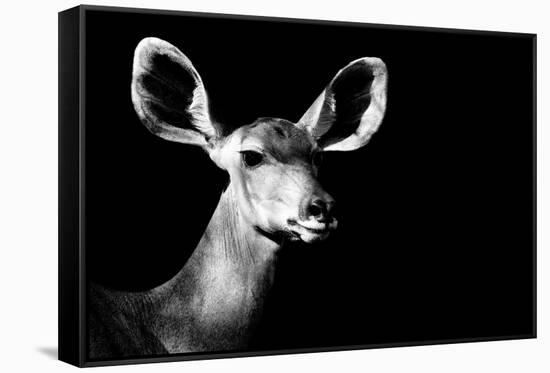 Safari Profile Collection - Antelope Impala Portrait Black Edition II-Philippe Hugonnard-Framed Stretched Canvas