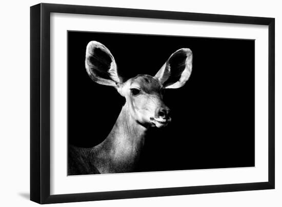 Safari Profile Collection - Antelope Impala Portrait Black Edition II-Philippe Hugonnard-Framed Photographic Print