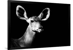 Safari Profile Collection - Antelope Impala Portrait Black Edition II-Philippe Hugonnard-Framed Photographic Print