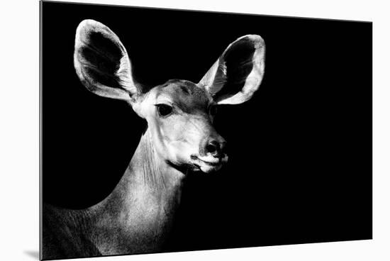 Safari Profile Collection - Antelope Impala Portrait Black Edition II-Philippe Hugonnard-Mounted Photographic Print