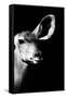 Safari Profile Collection - Antelope Impala Portrait Black Edition IV-Philippe Hugonnard-Framed Stretched Canvas