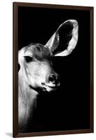 Safari Profile Collection - Antelope Impala Portrait Black Edition IV-Philippe Hugonnard-Framed Photographic Print