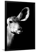 Safari Profile Collection - Antelope Impala Portrait Black Edition IV-Philippe Hugonnard-Framed Photographic Print