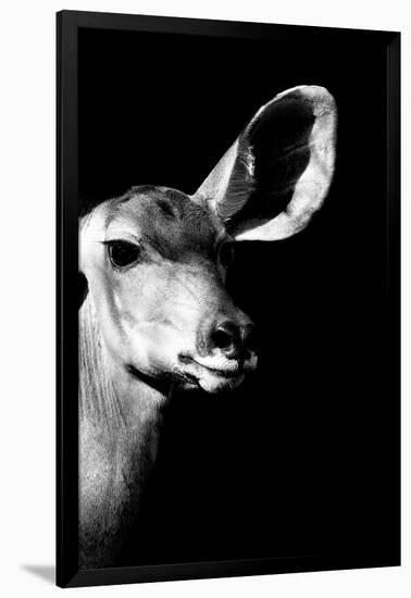 Safari Profile Collection - Antelope Impala Portrait Black Edition IV-Philippe Hugonnard-Framed Photographic Print