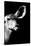 Safari Profile Collection - Antelope Impala Portrait Black Edition IV-Philippe Hugonnard-Stretched Canvas