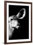 Safari Profile Collection - Antelope Impala Portrait Black Edition IV-Philippe Hugonnard-Framed Premium Photographic Print