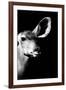 Safari Profile Collection - Antelope Impala Portrait Black Edition IV-Philippe Hugonnard-Framed Photographic Print