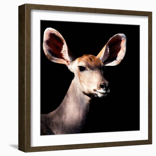 Safari Profile Collection - Antelope Impala Portrait Black Edition V-Philippe Hugonnard-Framed Photographic Print