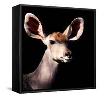 Safari Profile Collection - Antelope Impala Portrait Black Edition V-Philippe Hugonnard-Framed Stretched Canvas