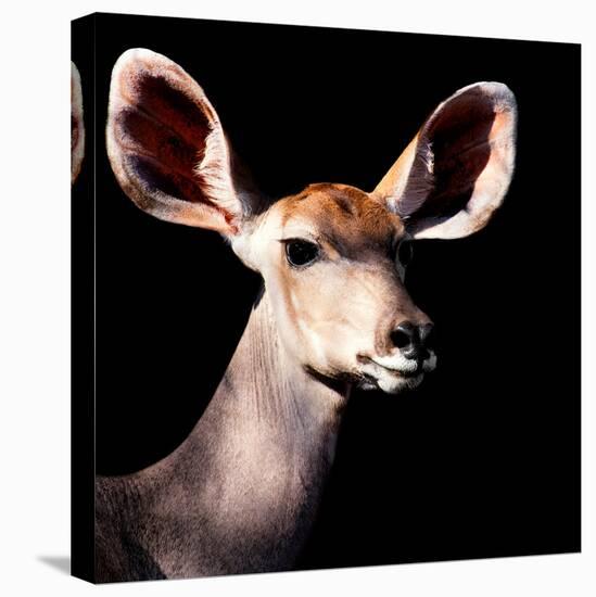 Safari Profile Collection - Antelope Impala Portrait Black Edition V-Philippe Hugonnard-Stretched Canvas