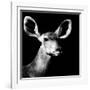 Safari Profile Collection - Antelope Impala Portrait Black Edition VI-Philippe Hugonnard-Framed Photographic Print