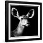 Safari Profile Collection - Antelope Impala Portrait Black Edition VI-Philippe Hugonnard-Framed Photographic Print