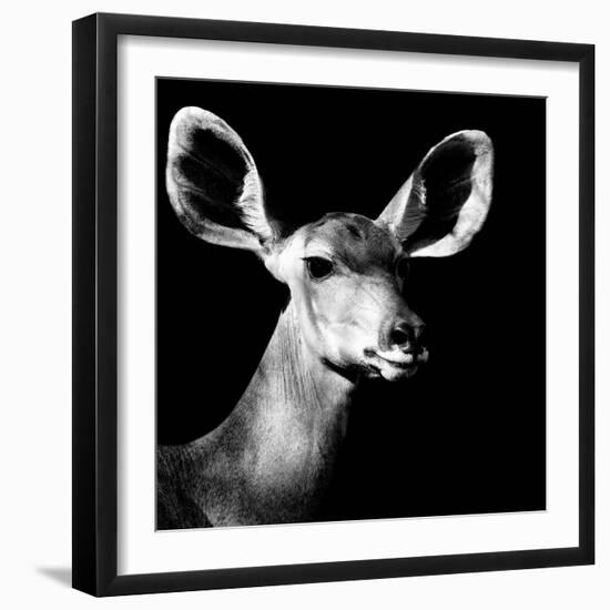 Safari Profile Collection - Antelope Impala Portrait Black Edition VI-Philippe Hugonnard-Framed Photographic Print