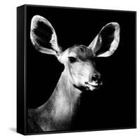 Safari Profile Collection - Antelope Impala Portrait Black Edition VI-Philippe Hugonnard-Framed Stretched Canvas