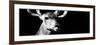 Safari Profile Collection - Antelope Impala Portrait Black Edition VIII-Philippe Hugonnard-Framed Photographic Print