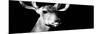 Safari Profile Collection - Antelope Impala Portrait Black Edition VIII-Philippe Hugonnard-Mounted Photographic Print