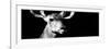 Safari Profile Collection - Antelope Impala Portrait Black Edition VIII-Philippe Hugonnard-Framed Photographic Print