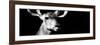 Safari Profile Collection - Antelope Impala Portrait Black Edition VIII-Philippe Hugonnard-Framed Photographic Print