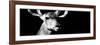 Safari Profile Collection - Antelope Impala Portrait Black Edition VIII-Philippe Hugonnard-Framed Photographic Print