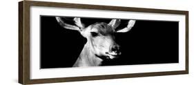 Safari Profile Collection - Antelope Impala Portrait Black Edition VIII-Philippe Hugonnard-Framed Photographic Print