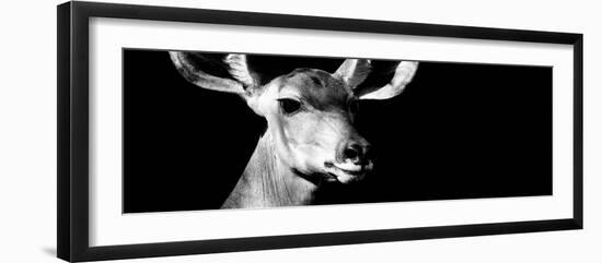 Safari Profile Collection - Antelope Impala Portrait Black Edition VIII-Philippe Hugonnard-Framed Photographic Print