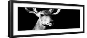 Safari Profile Collection - Antelope Impala Portrait Black Edition VIII-Philippe Hugonnard-Framed Photographic Print