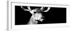 Safari Profile Collection - Antelope Impala Portrait Black Edition VIII-Philippe Hugonnard-Framed Photographic Print