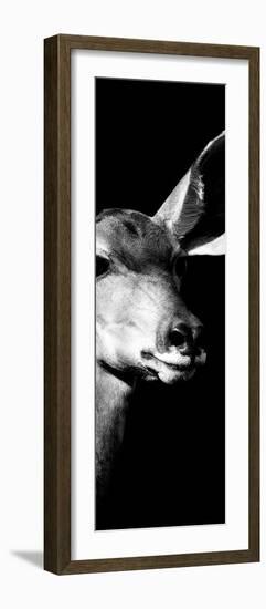 Safari Profile Collection - Antelope Impala Portrait Black Edition X-Philippe Hugonnard-Framed Photographic Print
