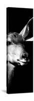 Safari Profile Collection - Antelope Impala Portrait Black Edition X-Philippe Hugonnard-Stretched Canvas