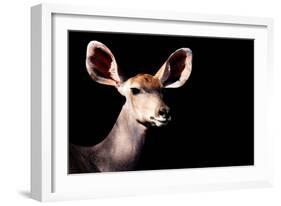 Safari Profile Collection - Antelope Impala Portrait Black Edition-Philippe Hugonnard-Framed Photographic Print