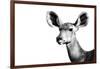 Safari Profile Collection - Antelope Impala Portrait White Edition II-Philippe Hugonnard-Framed Photographic Print