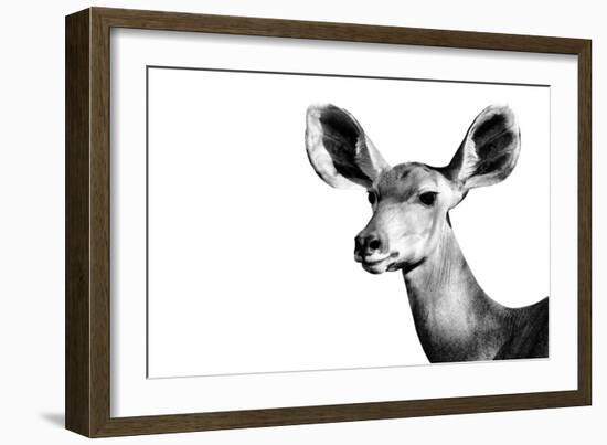 Safari Profile Collection - Antelope Impala Portrait White Edition II-Philippe Hugonnard-Framed Photographic Print