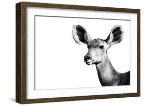 Safari Profile Collection - Antelope Impala Portrait White Edition II-Philippe Hugonnard-Framed Photographic Print