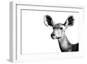 Safari Profile Collection - Antelope Impala Portrait White Edition II-Philippe Hugonnard-Framed Photographic Print