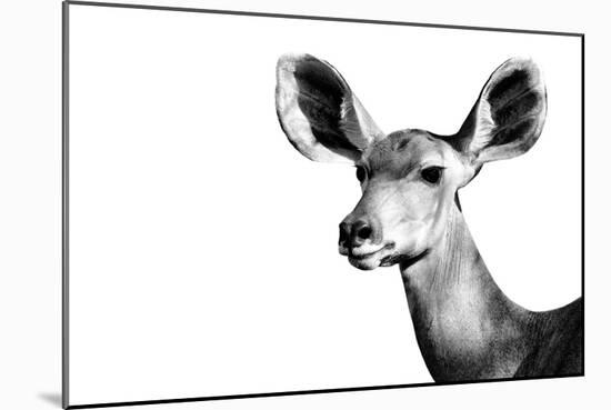 Safari Profile Collection - Antelope Impala Portrait White Edition II-Philippe Hugonnard-Mounted Photographic Print