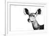 Safari Profile Collection - Antelope Impala Portrait White Edition II-Philippe Hugonnard-Framed Photographic Print