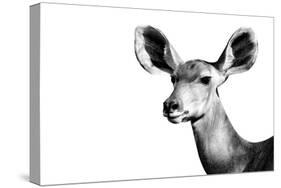 Safari Profile Collection - Antelope Impala Portrait White Edition II-Philippe Hugonnard-Stretched Canvas