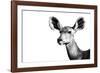 Safari Profile Collection - Antelope Impala Portrait White Edition II-Philippe Hugonnard-Framed Photographic Print