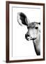 Safari Profile Collection - Antelope Impala Portrait White Edition IV-Philippe Hugonnard-Framed Photographic Print