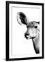 Safari Profile Collection - Antelope Impala Portrait White Edition IV-Philippe Hugonnard-Framed Photographic Print