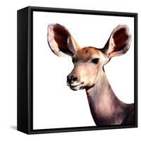 Safari Profile Collection - Antelope Impala Portrait White Edition V-Philippe Hugonnard-Framed Stretched Canvas