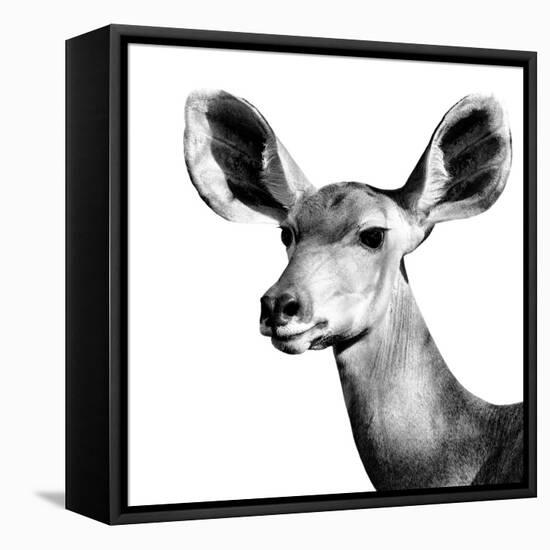 Safari Profile Collection - Antelope Impala Portrait White Edition VI-Philippe Hugonnard-Framed Stretched Canvas