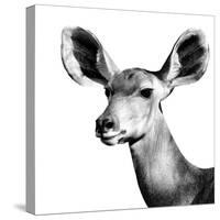 Safari Profile Collection - Antelope Impala Portrait White Edition VI-Philippe Hugonnard-Stretched Canvas