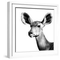 Safari Profile Collection - Antelope Impala Portrait White Edition VI-Philippe Hugonnard-Framed Photographic Print