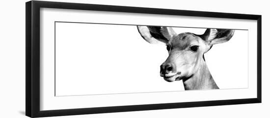 Safari Profile Collection - Antelope Impala Portrait White Edition VIII-Philippe Hugonnard-Framed Photographic Print