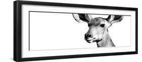 Safari Profile Collection - Antelope Impala Portrait White Edition VIII-Philippe Hugonnard-Framed Photographic Print