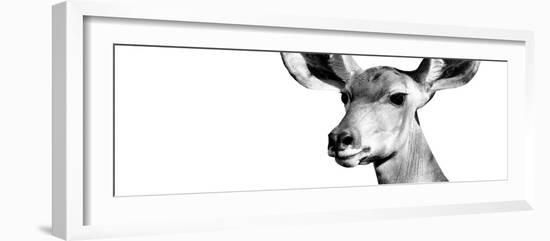 Safari Profile Collection - Antelope Impala Portrait White Edition VIII-Philippe Hugonnard-Framed Photographic Print