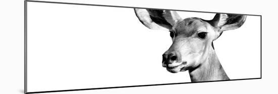 Safari Profile Collection - Antelope Impala Portrait White Edition VIII-Philippe Hugonnard-Mounted Photographic Print