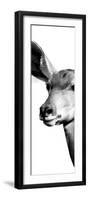 Safari Profile Collection - Antelope Impala Portrait White Edition X-Philippe Hugonnard-Framed Photographic Print