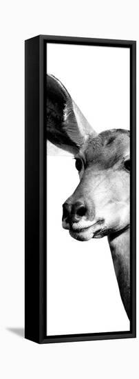 Safari Profile Collection - Antelope Impala Portrait White Edition X-Philippe Hugonnard-Framed Stretched Canvas